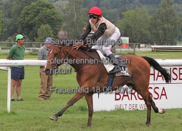 Savignon Buergin 3  prot
